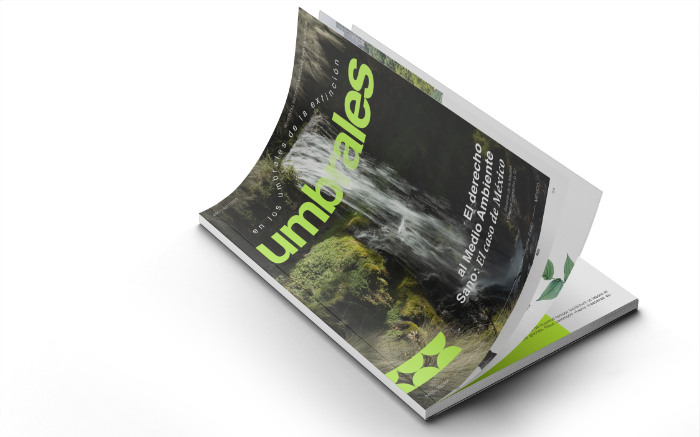 Revista Umbrales